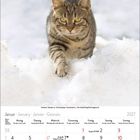 Kalenderblatt für Januar 2027 mit mehrsprachigem Wochentagen und Daten. Darüber ist eine Katze im Schnee zu sehen.