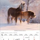 Kalender für Januar 2027. Bild zeigt zwei Pferde im Schnee vor einem verschneiten Baum.