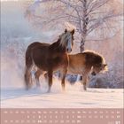 Kalender für Januar 2027, zeigt zwei Pferde im Schnee vor einem winterlichen Baum.