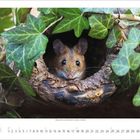 Eine Maus schaut aus einem mit Efeu bedeckten Baumloch. Darunter ein Kalenderblatt vom Januar mit nummerierten Tagen.