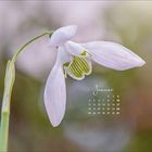 Januar-Kalender mit blühendem Schneeglöckchen im Fokus, sanfter Hintergrund in Pastellfarben.