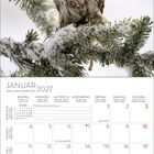 Kalender Januar 2027, mit einer Eule auf schneebedecktem Tannenzweig dargestellt.