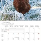 Januar 2027 Kalender mit einem Bild von einem braunen Huhn auf gefrorenem Gras.