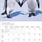 Kalender für Januar 2027. Foto: Zwei Kaiserpinguine auf Schnee unter blauem Himmel.