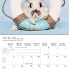 Text: "WELCOME ON BOARD", "JANUAR 2027". Ein Kaninchen guckt aus einem Rettungsring. Unten ist ein Kalender für Januar 2027.