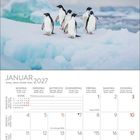 Januar 2027 Kalenderblatt mit Bild von fünf Pinguinen auf verschneitem Eisberg und bewölktem Himmel im Hintergrund.
