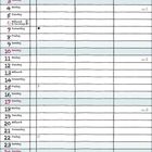 Kalender für Januar 2027. Enthält Wochentage, Feiertage und Wochenzahlen. Dekorative Blätter im Hintergrund.