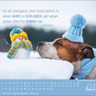 Ein Hund mit blauer Mütze neben einem schneebedeckten Schneemann, beide in bunter Winterkleidung.