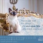 "Nimm dir Zeit für Dinge, die deine Katze glücklich machen." Eine Siamkatze auf einem eleganten Stuhl, mit Kalender unten.