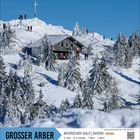 "GROSSER ARBER, BAYERISCHER WALD | BAYERN. 15 km, 6-7 Stunden, 780 m, 800 m, MITTEL." Schnee, Hütte, Bäume, Gipfelkreuz.