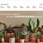 JANUAR 2027, 11 Mo - 17 So, KW 2. "Ich bin heute so motiviert, ich könnte TOPFPFLANZEN ausreißen." Verschiedene Zimmerpflanzen.
