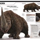 "Schlammbedecktes, schweres Tier mit hornähnlichem Wachstum. 'SCHLAMMHORN' - ein zähes, kräftiges Wesen mit dickem Fell."