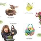 Hallo Frühling! Schau, was jetzt überall wächst! Der Löwenzahn, der Krokus, die Apfelblüten, die Gießkanne.