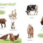 "Auf dem Bauernhof" zeigt Tiere wie Hund, Katze, Hühner, Gänse, Kuh, Schwein, Schaf, und Hahn.