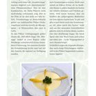Titel: "DIE LIEBLINGSSÜPPCHEN DER PFÄLZER" – Text beschreibt Pfälzer Suppen. Unten: Teller mit Sahnesuppe und Spargel.