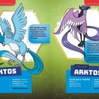 Zwei Pokémon: Arktos links, Eis/Flug, Typ Eis; Galar-Arktos rechts, Psycho/Flug, Typ Galar. Beide legendar.