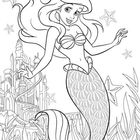 Illustration einer Meerjungfrau mit langen Haaren, Muschel-BH und Fischschwanz. Umgeben von Seesternen und Pflanzen.