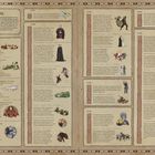 Zeittafel zu Ereignissen im Star Wars Universum, einschließlich Jahreszahlen und Beschreibungen. Illustrationen von Charakteren.