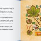 Text beschreibt die Schutzschale von Kastanien. Rechts Illustrationen von Kastanien, Blättern und einem Spielzeugbus.
