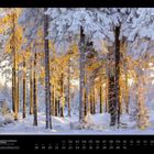 01, Verschneiter Winterwald, Erzgebirge, Cornelia B. und Ramon D. Ein verschneiter Wald mit Sonnenlicht durch die Bäume.