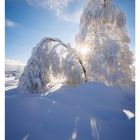 53 DEZ/JAN. Winterlandschaft mit schneebedeckten Bäumen, Sonnenstrahlen brechen durch die Äste im Tiefschnee.