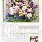 Januar. Sternmagnolienduft. Blumenarrangement in Lila und Weiß in einem Zinkeimer, umgeben von grünem Laub. Kalender.