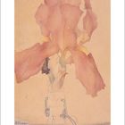 "Januar" steht unter einem zarten Blumenmotiv mit roten Blütenblättern in einer Vase. Ein Kalendarium ist darunter.