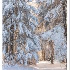 1 2027, Auerberg, Erzgebirge, Sachsen. Verschneiter Wald, Sonnenlicht fällt durch mit Schnee bedeckte Tannen. Unten: Kalender.