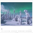 Kalenderblatt Januar mit Schneelandschaft, verschneiten Bäumen und grünem Polarlicht am Himmel.