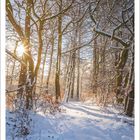 Kalenderseite mit Datum Januar 2027. Schneebedeckter Wald, Sonnenstrahlen durchdringen die Äste.