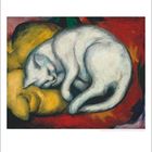 Gemälde einer weißen Katze, die auf leuchtend roten und gelben Kissen zusammengerollt schläft. Datum: 1.-31.