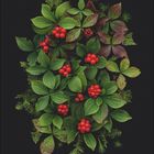 Text: Zahlen 1 bis 31 unten angeordnet. 

Grüne Blätter und rote Beeren auf schwarzem Hintergrund.