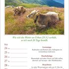 Kalenderseite für Mai: Text über Wetter am 25.5. und Tipps zu Garten, Haushalt und Brauchtum. Landschaft mit zwei Kühen.