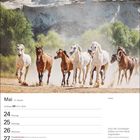 Mai, 21. Woche, Zwillinge 21.5.–20.6. Datum von 24 bis 30, Zitat: „Auch die Umtriebigen bleiben auf ihre Herde angewiesen.“