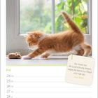 Zitat von Franz Kafka: „Du musst nur die Laufrichtung ändern, sagte die Katze zur Maus und fraß sie.“ Kätzchen spielt.