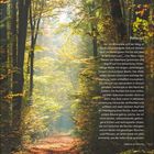 "Rebecca" und Textauszug von Daphne du Maurier. Kalenderseite für Februar, Tage: 1-7 Montag bis Sonntag. Waldweg im Sonnenlicht.