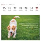 "Hunde haben alle guten Eigenschaften des Menschen, ohne gleichzeitig ihre Fehler zu besitzen." Ein Hund läuft auf Gras.