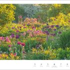 "Mai", "Zierlauch und Tulpen", "18. Woche", Wochentage: Montag 3, Dienstag 4, Mittwoch 5 usw. Blumen auf einer Wiese.