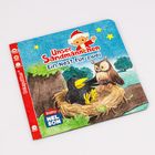 Cover/Produkt Ansicht vergrößern