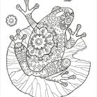 Keine Texte vorhanden. Illustration eines Frosches mit Mandala-Mustern, sitzend auf einem Blatt, umgeben von Blumen.