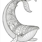 Eine detaillierte, dekorative Schwarz-Weiß-Zeichnung eines Wals, verziert mit Mustern und Ornamenten.