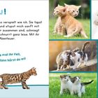"Miau! Miau! ... Streichle mal ihr Fell, dann hörst du es!" Sechs Fotos von verspielten Kätzchen, eines mit fühlbarem Fell.
