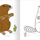 Links ein kolorierter Biber, rechts dieselbe Illustration als schwarz-weiße Ausmalzeichnung.