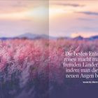 Zitat von Marcel Proust über Entdeckungsreisen; rosa Feld, weitem Horizont, pastellfarbenem Himmel.