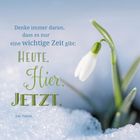 Zitat: "Denke immer daran, dass es nur eine wichtige Zeit gibt: Heute. Hier. Jetzt." Ein Schneeglöckchen wächst aus dem Schnee.