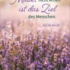 „Muße, nicht Arbeit ist das Ziel des Menschen.“ von Oscar Wilde. Im Hintergrund ein Lavendelfeld bei Sonnenuntergang.