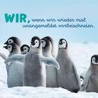 Text: "WIR, wenn wir wieder mal unangemeldet vorbeischneien." Junge Pinguine stehen dicht zusammen im Schnee.