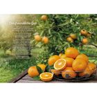 Text spricht über Geduld und Annahme durch Gott. Im Hintergrund ein Orangenbaum, im Vordergrund Orangen in einem Korb.