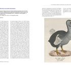Seite 19: Der Dodo und das vom Menschen verursachte Artensterben. Illustration eines Dodos mit grauem Körper und gelben Füßen.