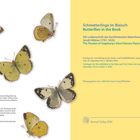 Schmetterlinge im B(a)uch. Ausstellung Augsburg 2026. Gelbe Seite rechts, links Schmetterlingsillustration.